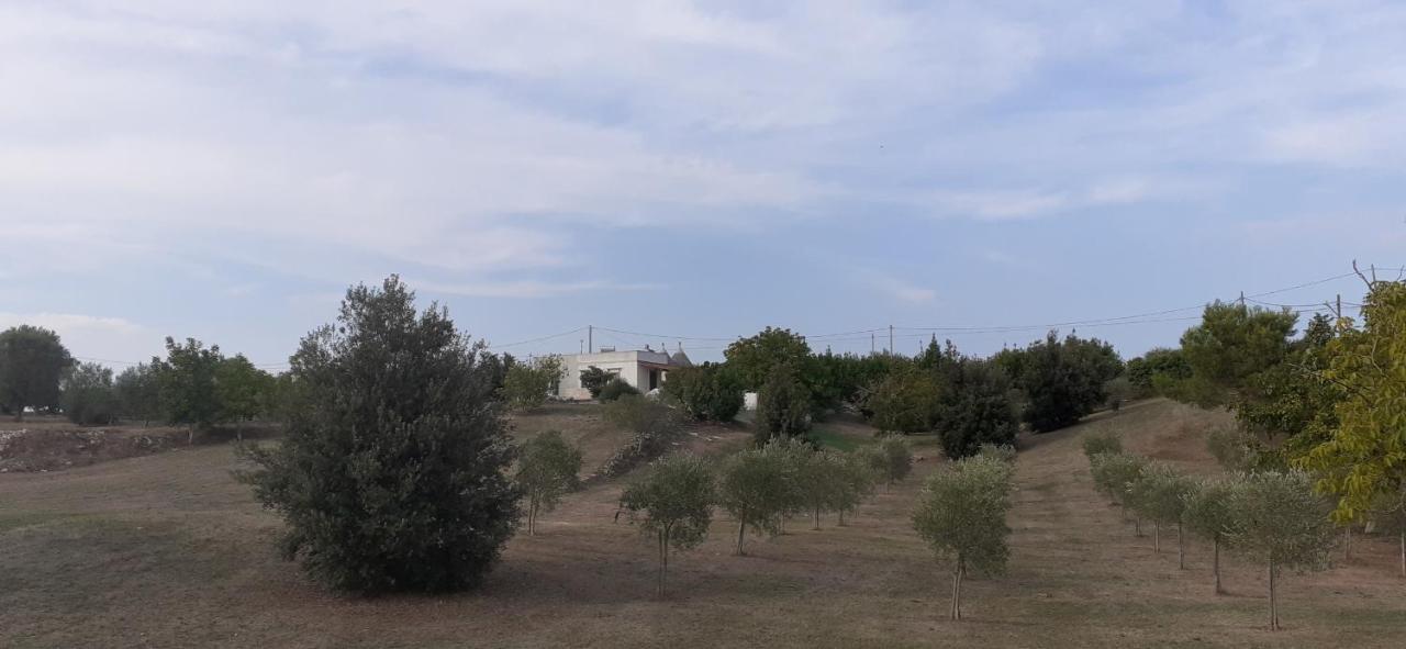 Trullo Genista Villa Martina Franca Ngoại thất bức ảnh